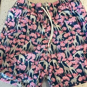 Allen Edmonds Swim Trunks